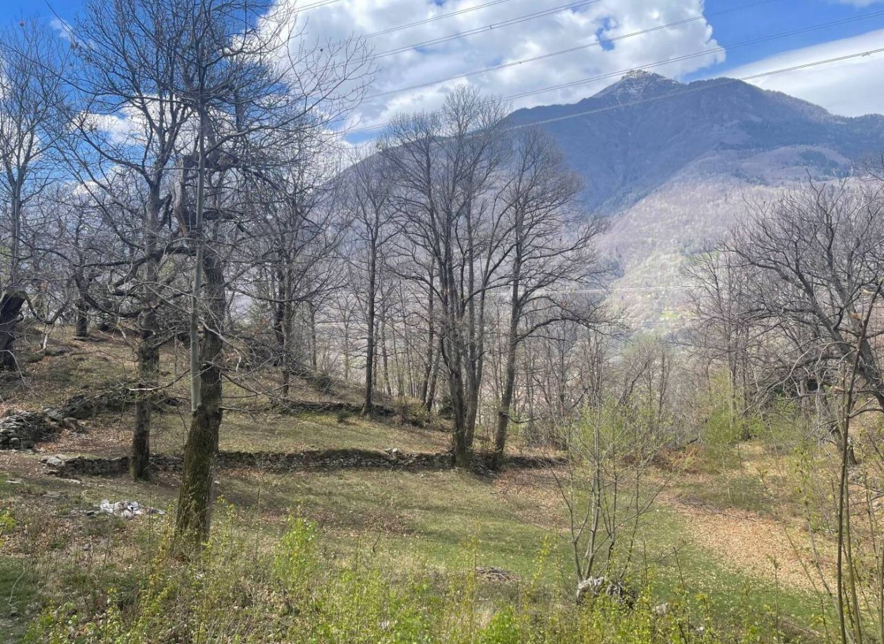 Valle Camonica quota 550 m. rustico con terreno